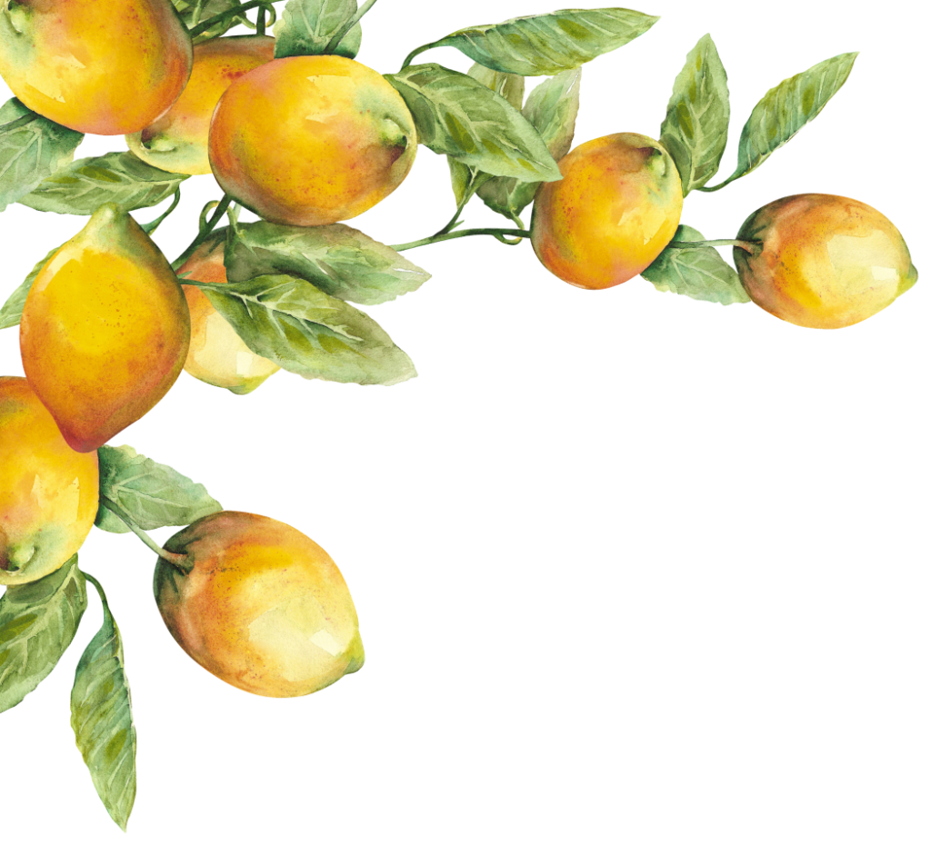 place-an-online-order-del-bene-produce